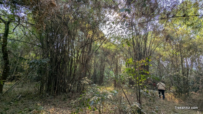 Inside Awade Kot